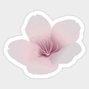 桜 | Sakura | Cherry Blossom Sticker